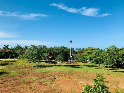 a field with trees and a blue sky at A5 PL Near the beach 1bed 1 office 1 bathroom in Tamarindo