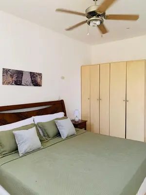 a bedroom with a bed with a ceiling fan at A5 PL Near the beach 1bed 1 office 1 bathroom in Tamarindo
