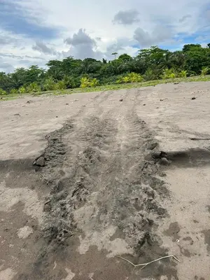 a dirt road with a large amount of grease on it at Miss Miriam BeachFront Cabins in Tortuguero