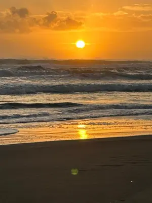 a sunset on the beach with the ocean at Miss Miriam BeachFront Cabins in Tortuguero