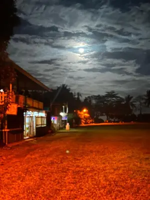 a full moon over a field at night at Miss Miriam BeachFront Cabins in Tortuguero