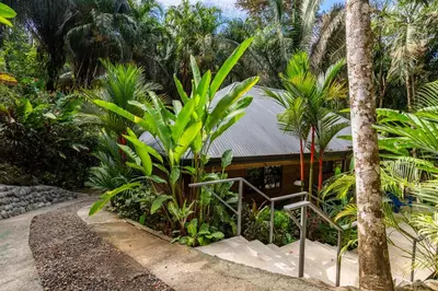 a resort with palm trees and a building at Casa Serena - Tranquil Jungle Gem Near the Beach in Uvita
