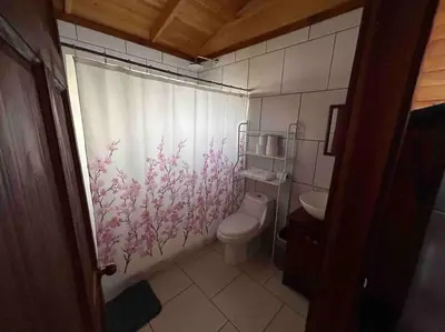 a bathroom with a toilet and a shower curtain at Seahorse Breeze Apartment 2 in Uvita