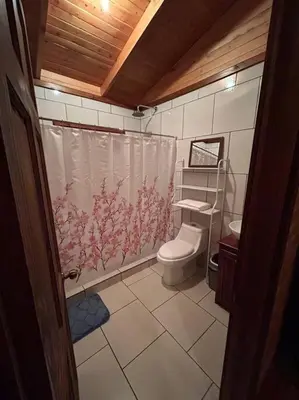 a bathroom with a toilet and a shower curtain at Seahorse Breeze Apartment 2 in Uvita