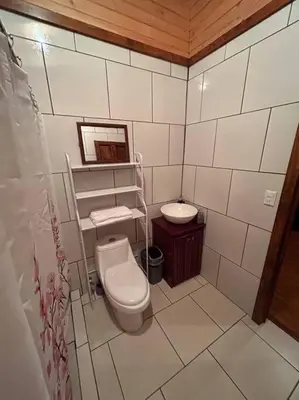 a small bathroom with a toilet and a sink at Seahorse Breeze Apartment 2 in Uvita