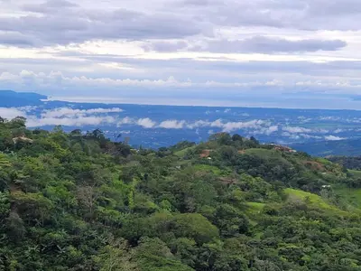 an overhead view of a forest with clouds in the distance at Tierra Vital Atenas Villa 2 in Atenas