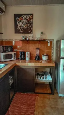 a kitchen with a counter with a microwave and a refrigerator at BEACH OPEN-FLAT with TERRACE ANALIA in Manuel Antonio