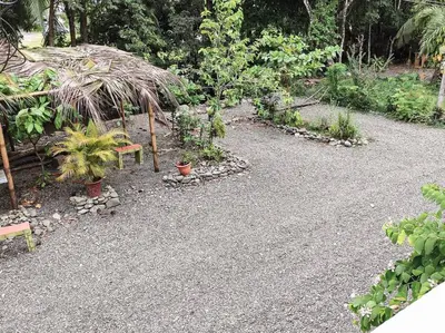 a garden with a bunch of plants and benches at BEACH OPEN-FLAT with TERRACE ANALIA in Manuel Antonio