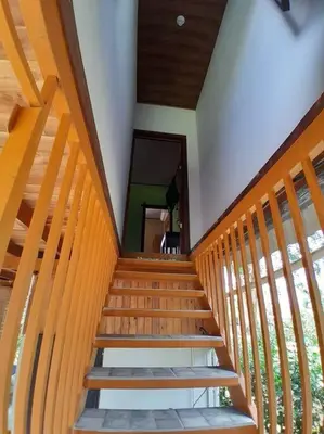 a wooden staircase in a house with a dog at Riverside Oasis Cabin with A C in Guápiles