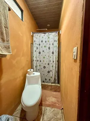 a bathroom with a toilet with a shower curtain at Cabinas Paraíso in Dominical