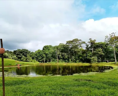 a person standing next to a lake with trees at Haciendo Amigos en el Canasto in San Isidro