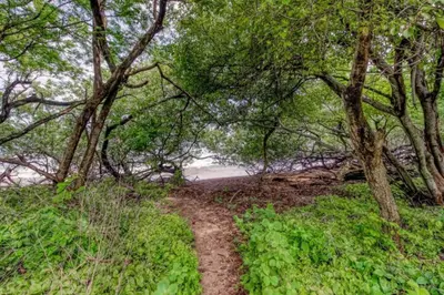a dirt trail through a forest with trees and a beach at BLA1 3 Bedroom Condo with Direct Beach Access in Tamarindo