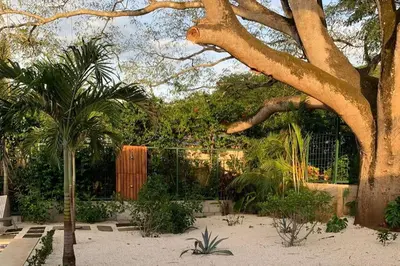 a garden with palm trees and a fence at CU27 New Construction 3bdrm Home with Prv Pool in Tamarindo