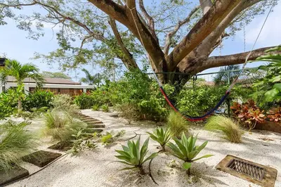a hose hanging from a tree in a garden at CU28 New 3 Bdrm Home w Pool and Guanacaste Tree in Tamarindo