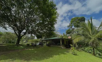 a house in a yard with a palm tree at Haciendo Amigos en El Canasto in San Isidro