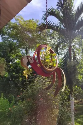 a plant hanging from a rope with trees in the background at Aventura Familiar Bosque Tropical Volcán Arenal in San Ramón