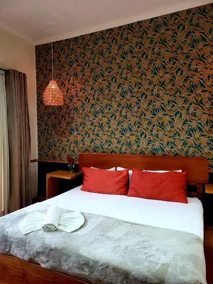 a bedroom with a bed with red pillows and a wall at Hotel Aranjuez in San José