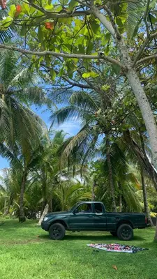 a green truck parked next to a palm tree at sarahs peaceful Home in Parrita