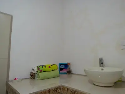 a bathroom counter with a sink and a bowl at Rose House Manuel Antonio in Quepos