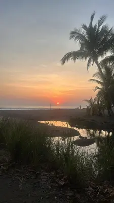 a sunset on a beach with a palm tree at Casa blue in Jacó