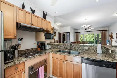 a kitchen with wooden cabinets and a sink and a dishwasher at 3-BD Beauty with Pool Near Beach in Santa Cruz