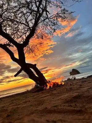 Gallery image of Casa Coral in La Cruz