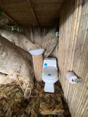 a bathroom with a toilet and a tree at Casa del Arbol Feel Good in Naranjo