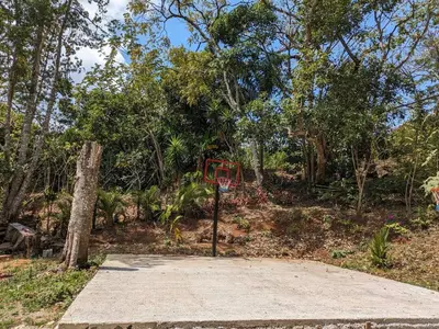 a basketball hoop in the middle of a forest at Fully furnished lodge with hot tub and pool - Alto Castillo in San José