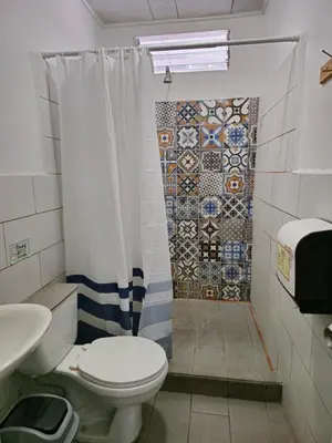 a bathroom with a toilet and a mosaic shower curtain at Haven Hotel in San José