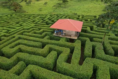 a group of people standing in a large maze at Cabinas Río celeste in Upala