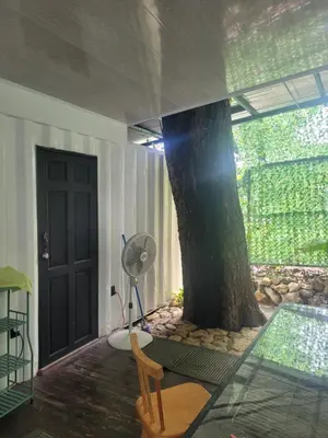 a room with a tree and a fan and a door at Jungle house in Tapantí
