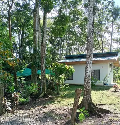 a small house in the middle of a forest at Casa perezoso in Hacienda Coronado