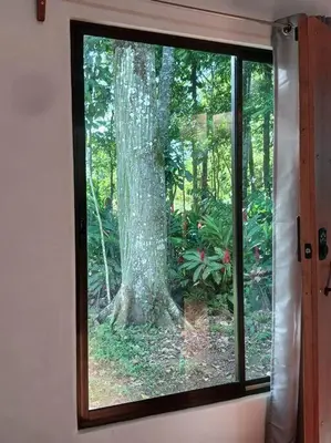a window in a room with a view of a tree at Casa perezoso in Hacienda Coronado