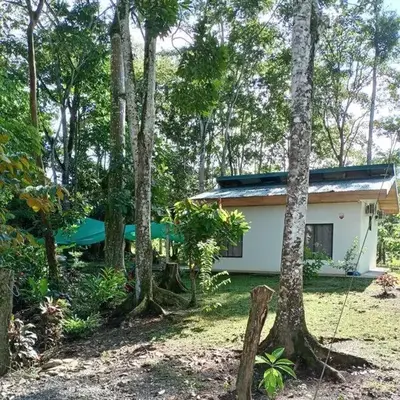 Casa perezoso