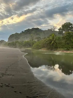 a beach with a body of water and trees at Tropical Camas Surf House in Pochotal