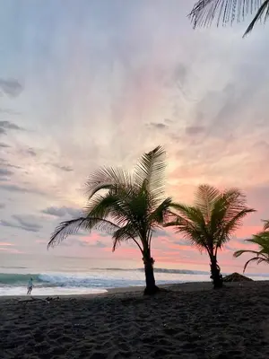 two palm trees on a beach at sunset at Tropical Camas Surf House in Pochotal