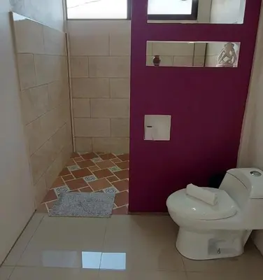 a bathroom with a purple door and a toilet at Cabinas Río Celeste in Upala
