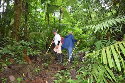 Gallery image of Arenal Mason Retreat in San Ramón
