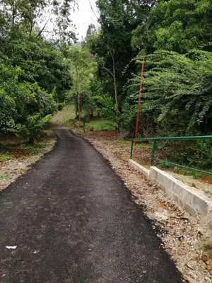 an empty road with a green fence and trees at Hermosa Cabaña equipada, en medio de zonas verdes in Pedregoso