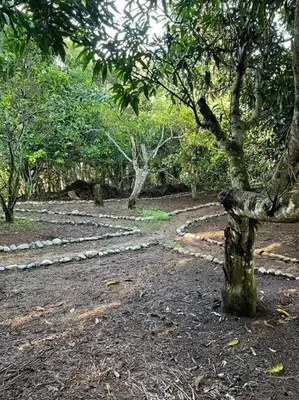 a stone bench in the middle of a forest at Hermosa Cabaña equipada, en medio de zonas verdes in Pedregoso
