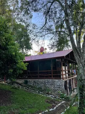 a building with a purple roof in a forest at Hermosa Cabaña equipada, en medio de zonas verdes in Pedregoso