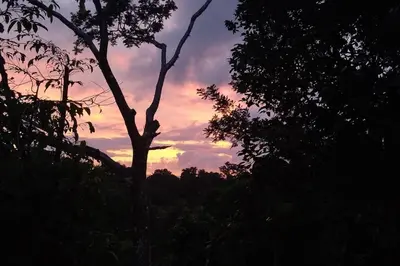 a tree with a sunset in the background at Villa Jalapa 
