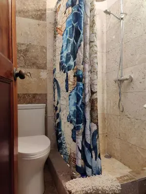 a bathroom with a toilet and a shower curtain at Tico Tiki Vacation Villa, 5 Bedroom in Sámara