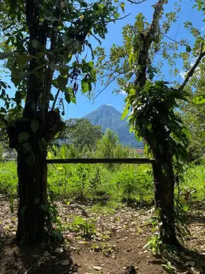 a fence in a field with a mountain in the background at Cabaña Rincón Verde - La Fortuna in Fortuna