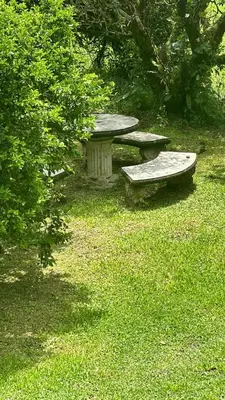 a picnic table and benches in the grass at Motel Rio Celeste in Bijagua