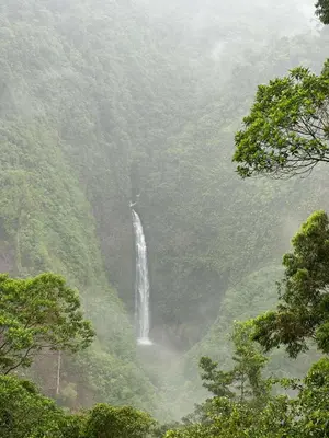 a waterfall in the middle of a green valley at Motel Rio Celeste in Bijagua