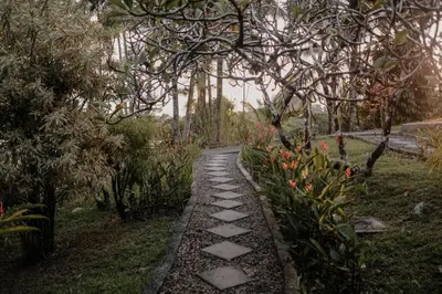 a stone path in a garden with trees and flowers at Finca Bavaria in Ballena