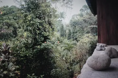a teddy bear sitting on a ledge in a garden at Finca Bavaria in Ballena