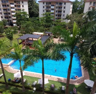 an overhead view of a swimming pool with palm trees at DURCH PROJECT apartamento vacacional in Jacó