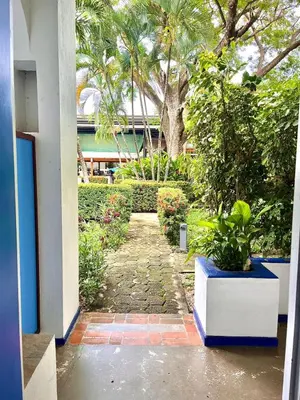 a walkway leading to a building with trees and plants at La Puerta del Sol in Coco